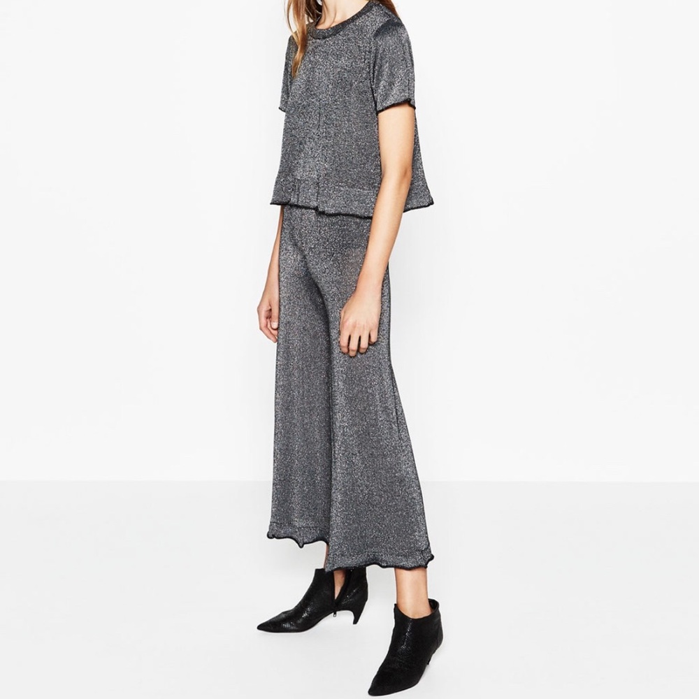 Zara pants NWOT
